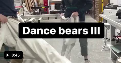 dancing bears x